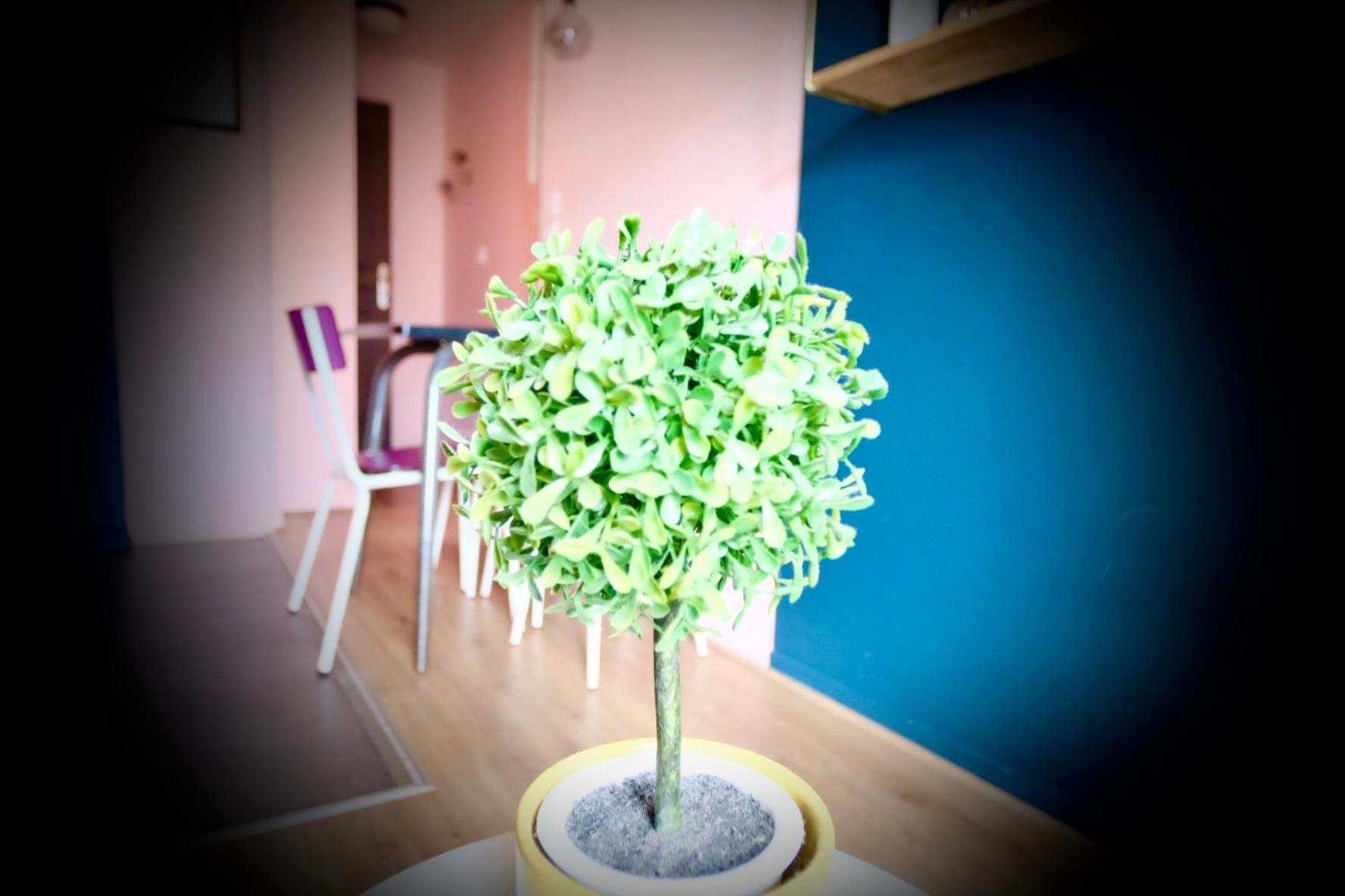 凯恩La Bonbonniere Rose公寓 外观 照片